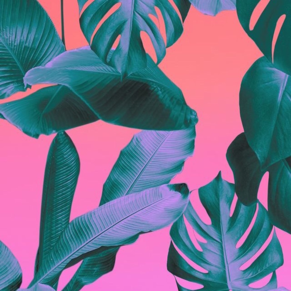 Meet your Posher, Sami